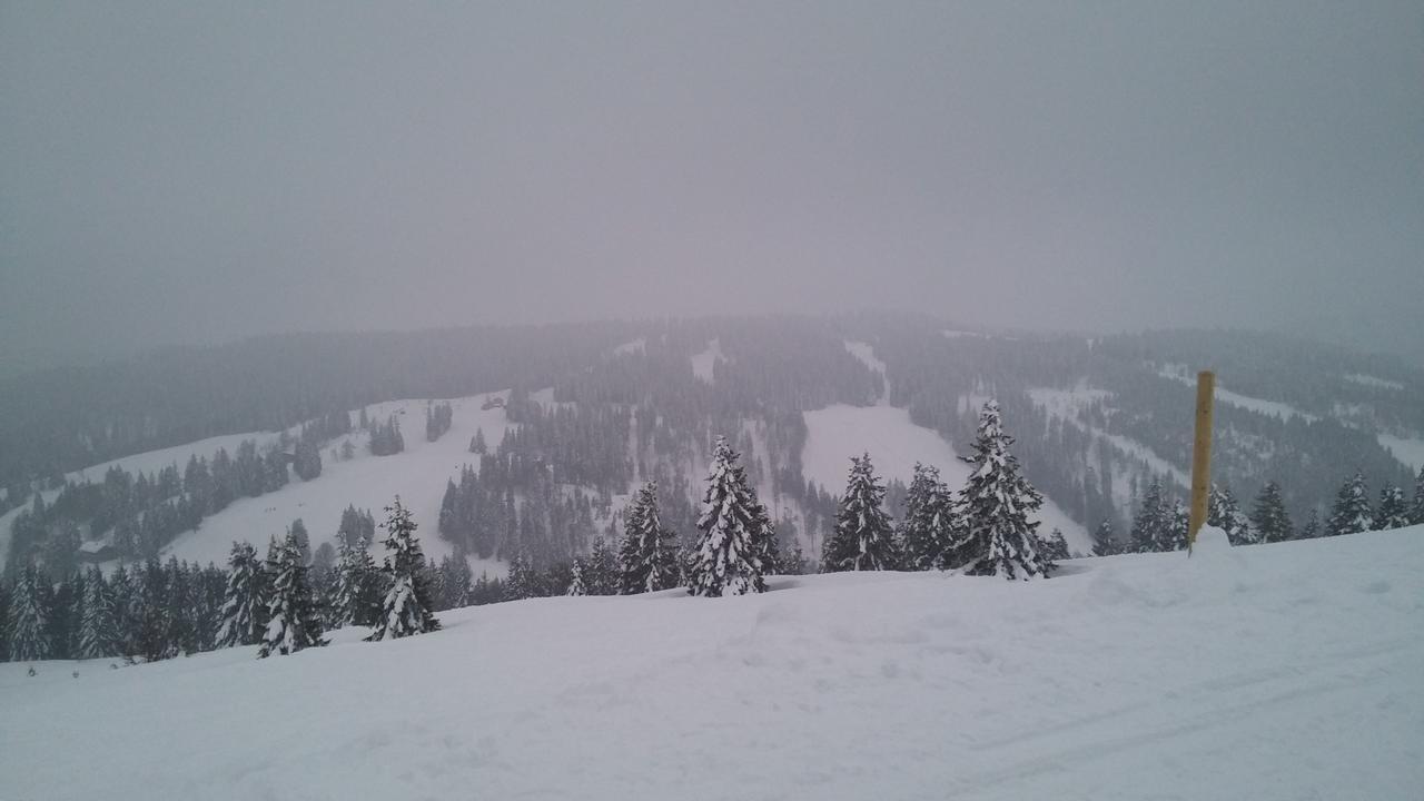 'S Jaegermatt Panzió Feldberg  Kültér fotó