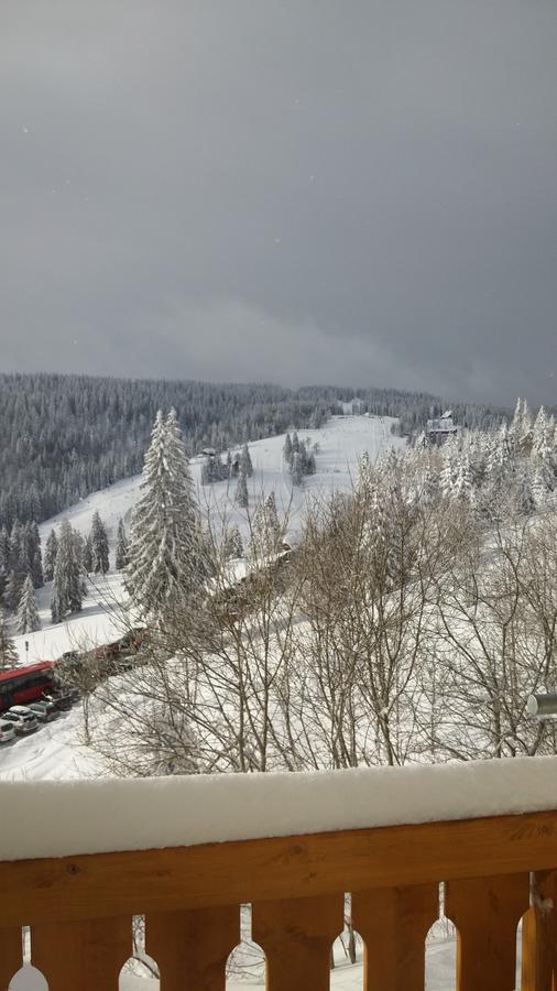 'S Jaegermatt Panzió Feldberg  Kültér fotó