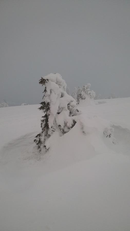 'S Jaegermatt Panzió Feldberg  Kültér fotó